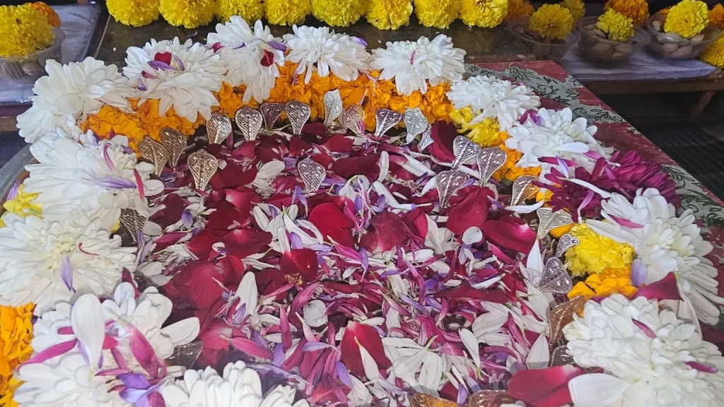 KaalSarp Dosh Trimbakeshwar