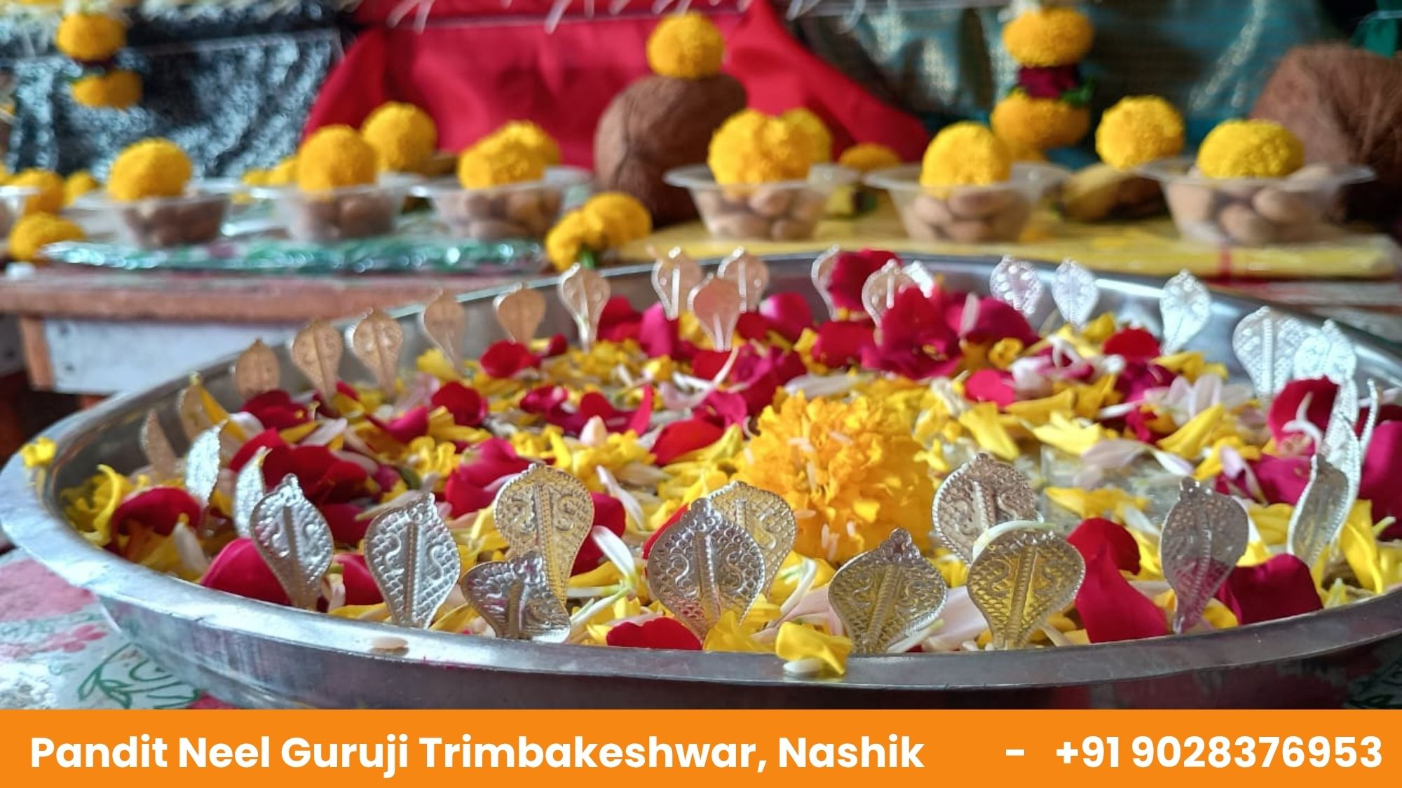 Pandit Neel Guruji,Mangal Dosh Puja in Trimbakeshwar, Rahu Ketu Puja in Trimbakeshwar, Rudrabhishek Puja in Trimbakeshwar, Shani Shanti Puja In Trimbakeshwar, Tripindi Shradh Puja in Trimbakeshwar, Kaal sarp puja in trimbakeshwar, Pandit in Trimbakeshwar Nashik | Pandit Neel Guruji, Maha Mrityunjay Jaap Puja in Trimbakeshwar, Narayan Naagbali Puja in Trimbakeshwar, Pitra Dosh Shanti Puja in Trimbakeshwar
